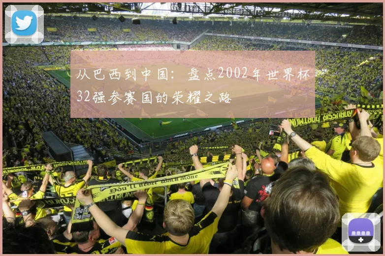 从巴西到中国:盘点2002年世界杯32强参赛国的荣耀之路