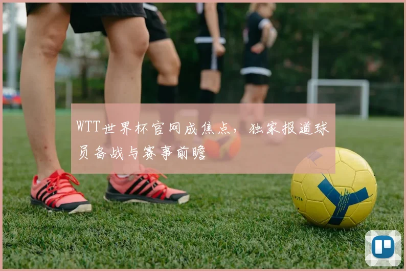 WTT世界杯官网成焦点,独家报道球员备战与赛事前瞻