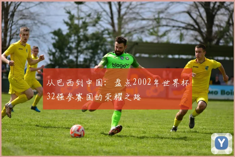 从巴西到中国:盘点2002年世界杯32强参赛国的荣耀之路