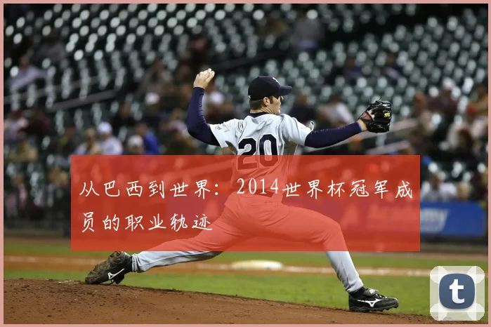 从巴西到世界:2014世界杯冠军成员的职业轨迹