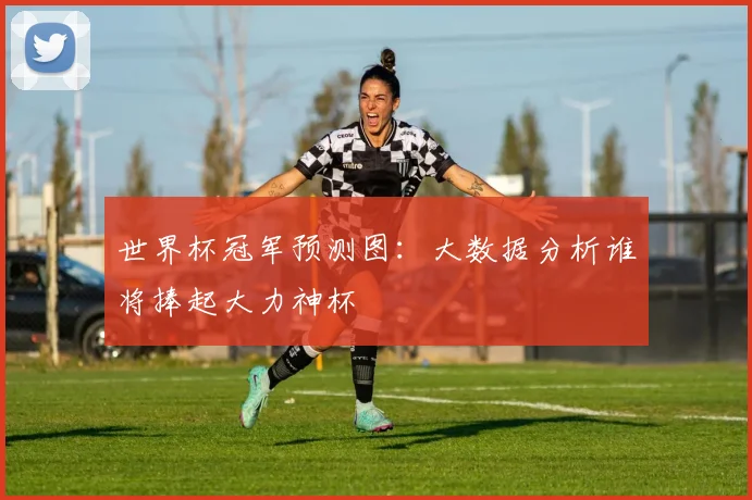 世界杯冠军预测图:大数据分析谁将捧起大力神杯