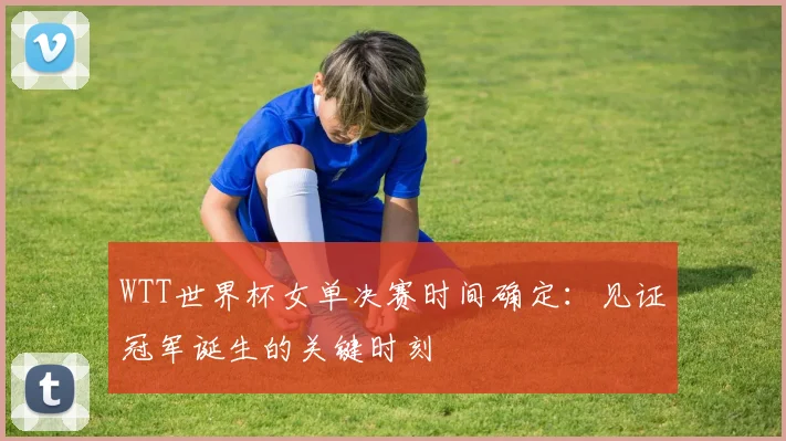 WTT世界杯女单决赛时间确定：见证冠军诞生的关键时刻