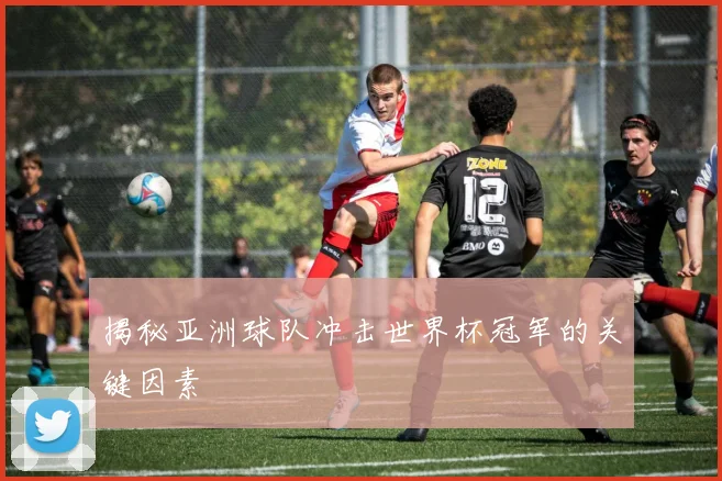 揭秘亚洲球队冲击世界杯冠军的关键因素