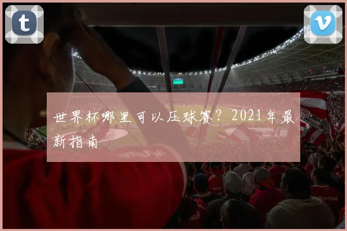 世界杯哪里可以压球赛？2021年最新指南