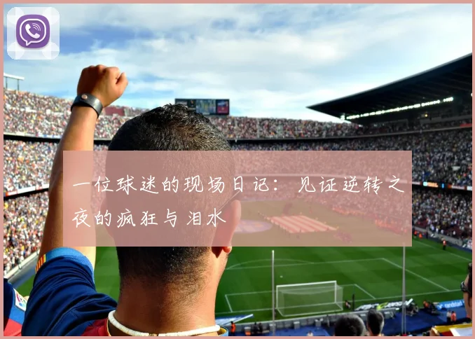 一位球迷的现场日记:见证逆转之夜的疯狂与泪水