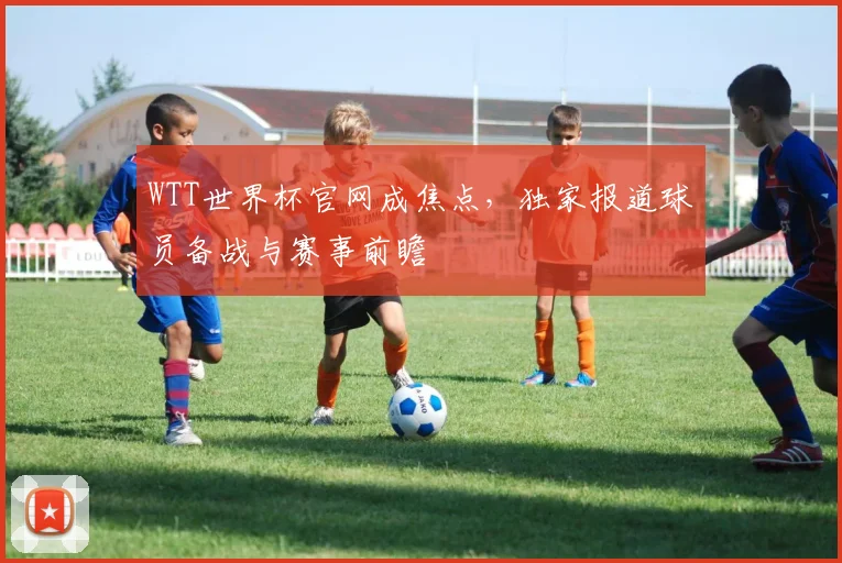 WTT世界杯官网成焦点,独家报道球员备战与赛事前瞻