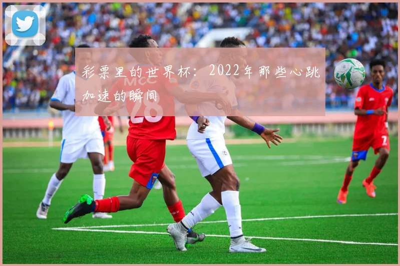 彩票里的世界杯：2022年那些心跳加速的瞬间
