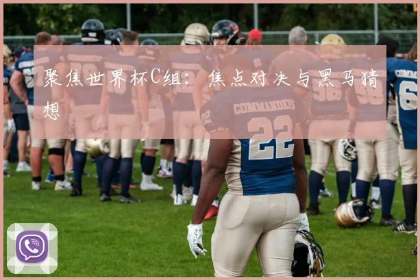 聚焦世界杯C组：焦点对决与黑马猜想